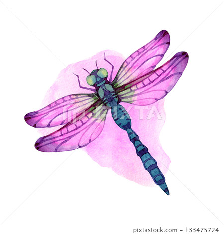 Watercolor dragonfly with delicate pink and violet wings, detailed body texture and soft artistic shading. Hand-painted insect illustration perfect for botanical designs, nature themes, invitations 133475724