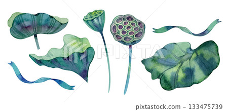 Watercolor lotus leaves set painted by hand. Natural tropical greenery for patterns, packaging, prints, spa and botanical projects. Soft shapes and calm green tones. 133475739