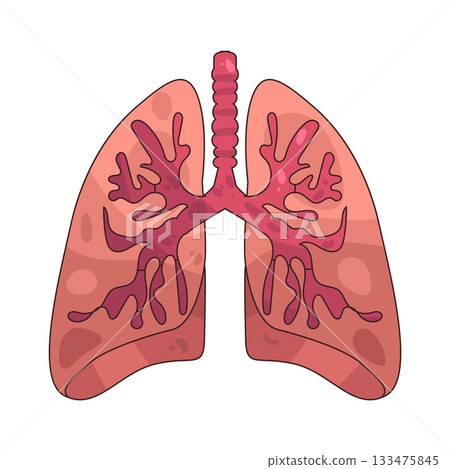illustration of Lungs  133475845