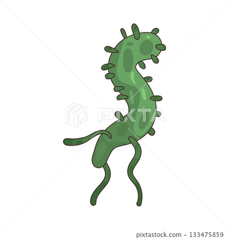 illustration of Bacteria 133475859