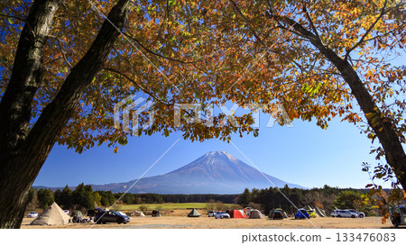 A spectacular view of autumn leaves and Mt. Fuji from a campsite on the Asagiri Plateau at the foot of Mt. Fuji in late autumn. Fujinomiya City, Shizuoka Prefecture, Japan 133476083