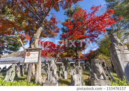 Numerous Arhat statues (Arashiyama Arhat) 133476157