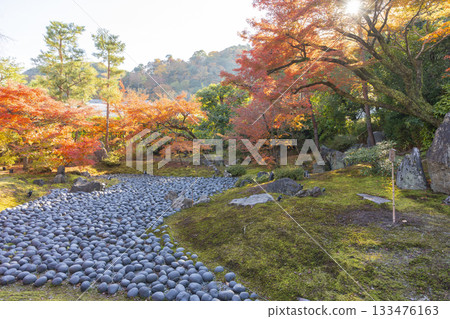 京都之秋、寶嚴院、獅吼庭、苦海、三尊石 133476163