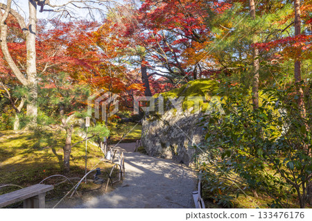 京都之秋、寶嚴院、獅吼庭、青岩 133476176