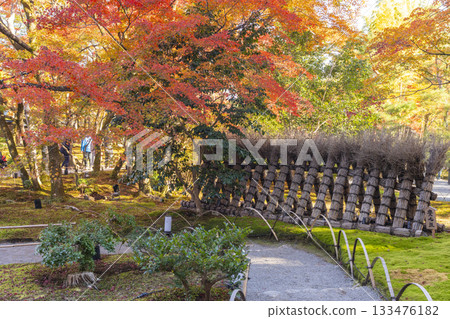 Autumn in Kyoto, Hogon-in Temple, Shishiku Garden, Toyomarugaki 133476182