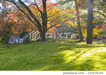 Autumn in Kyoto, Hogon-in Temple, Shishiku Garden 133476185