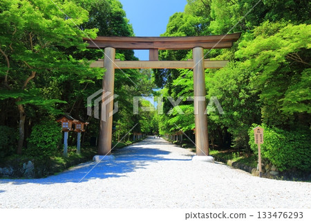 [Nara Prefecture] The torii gates on the north approach to Kashihara Shrine on a clear day 133476293