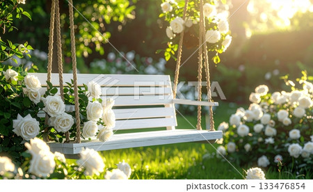 White Wooden Swing in White Rose Garden 133476854