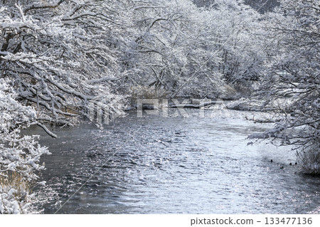 The upper reaches of the Chitose River in midwinter, Chitose City, Hokkaido [February] 133477136