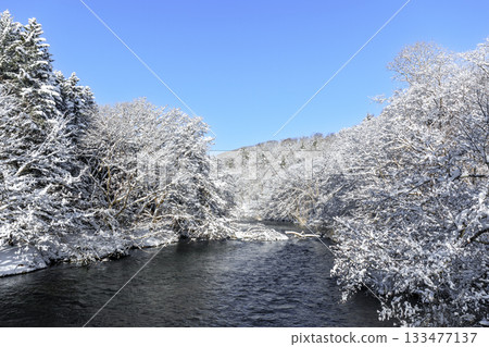 北海道千歲市，冬日深處的千歲河上游 [二月] 133477137