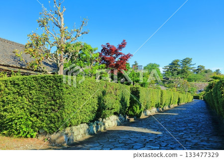 [三重縣]松阪公園城守所（殿町公園）的晴天 133477329