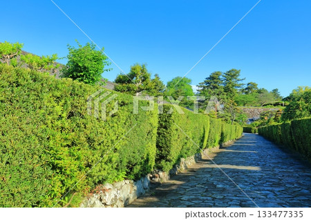 [Mie Prefecture] Castle guard house in Matsusaka Park on a clear day (Tonomachi Park) 133477335