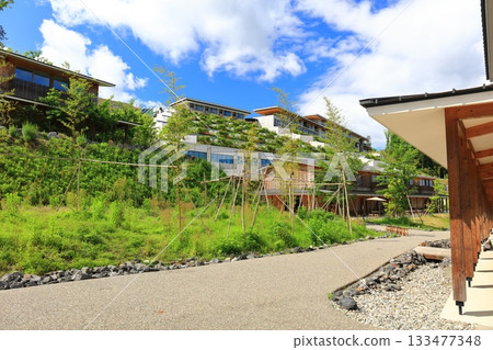 [Mie Prefecture] VISON on a sunny day 133477348