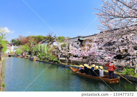 [岡山縣]倉敷美觀地區的櫻花盛開（船流） 133477372