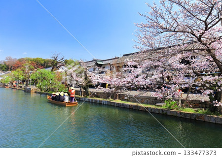 [岡山縣]倉敷美觀地區的櫻花盛開（船流） 133477373