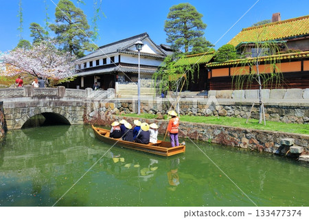 [Okayama Prefecture] Cherry blossoms in full bloom in Kurashiki Bikan Historical Quarter (Boat Nagashi) 133477374