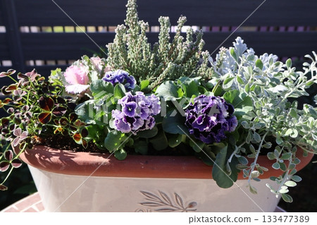 Stylish purple frilly viola flower arrangement 133477389
