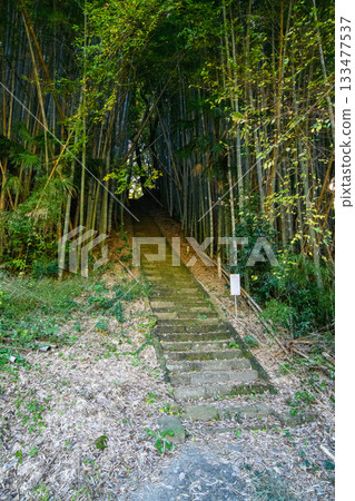 天神神社入口,千葉縣草佐市 天神神社入口,千葉縣草佐市 133477537