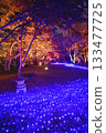 Illuminated autumn leaves in the maple garden Illuminated autumn leaves in the maple garden 133477725