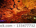 Illuminated autumn leaves in the maple garden Illuminated autumn leaves in the maple garden 133477732