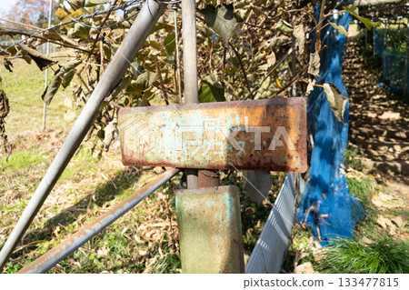 Hinatayama trailhead (Oku-Musashi) 133477815