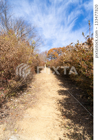 蘆久保山花路(奧武藏) 蘆久保山花路(奧武藏) 133477820