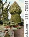Formal topiary garden in winter with cone shaped evergreen trees and frosted shrubs creating an elegant landscape design 133478345
