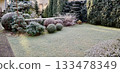 Frost covering garden lawn and evergreen plants in a suburban yard during a cold winter morning 133478349