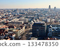 Antwerp cityscape panoramic view revealing historical and modern architecture under clear sky, urban development 133478350