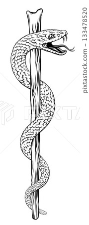 Rod of Asclepius Caduceus Medical Doctor Symbol Rod of Asclepius Caduceus Medical Doctor Symbol 133478520