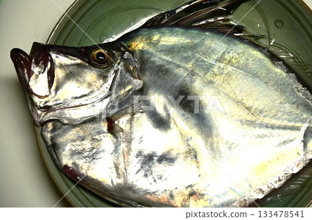 Silver fish Kagamidai Silver fish Kagamidai 133478541