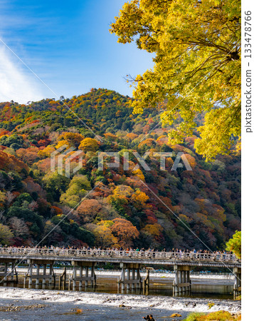 秋天的嵐山和渡月橋 秋天的嵐山和渡月橋 133478766
