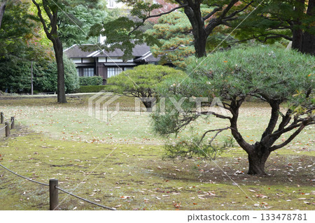 Takahagano Yado Garden 133478781