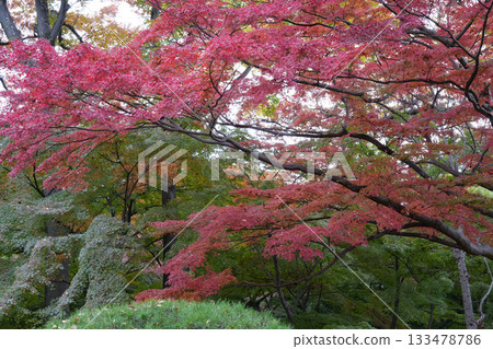Takahagano Yado Garden 133478786