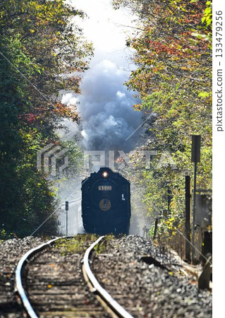 山口號列車在秋色正濃的山口線上穿梭,穿過田代隧道,一路下行至新目。 山口號列車在秋色正濃的山口線上穿梭,穿過田代隧道,一路下行至新目。 133479256