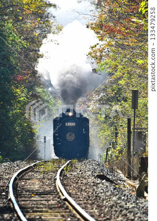 The SL Yamaguchi train, with its beautiful autumn leaves, passes through the Tashiro Tunnel and descends to Shinome. The SL Yamaguchi train, with its beautiful autumn leaves, passes through the Tashiro Tunnel and descends to Shinome. 133479258
