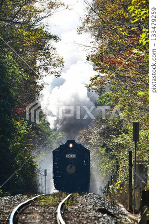 The SL Yamaguchi train, with its beautiful autumn leaves, passes through the Tashiro Tunnel and descends to Shinome. The SL Yamaguchi train, with its beautiful autumn leaves, passes through the Tashiro Tunnel and descends to Shinome. 133479259