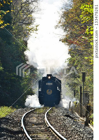 The SL Yamaguchi train, with its beautiful autumn leaves, passes through the Tashiro Tunnel and descends to Shinome. The SL Yamaguchi train, with its beautiful autumn leaves, passes through the Tashiro Tunnel and descends to Shinome. 133479261