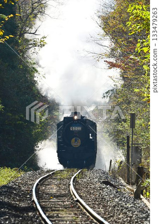 The SL Yamaguchi train, with its beautiful autumn leaves, passes through the Tashiro Tunnel and descends to Shinome. The SL Yamaguchi train, with its beautiful autumn leaves, passes through the Tashiro Tunnel and descends to Shinome. 133479263