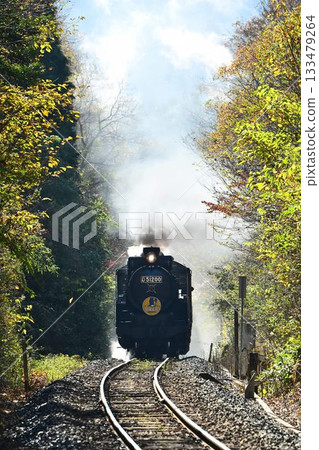 山口號列車在秋色正濃的山口線上穿梭，穿過田代隧道，一路下行至新目。 133479264