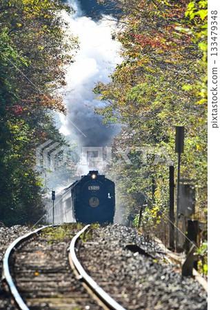 The SL Yamaguchi train, with its beautiful autumn leaves, passes through the Tashiro Tunnel and descends to Shinome. The SL Yamaguchi train, with its beautiful autumn leaves, passes through the Tashiro Tunnel and descends to Shinome. 133479348