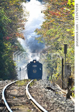 The SL Yamaguchi train, with its beautiful autumn leaves, passes through the Tashiro Tunnel and descends to Shinome. The SL Yamaguchi train, with its beautiful autumn leaves, passes through the Tashiro Tunnel and descends to Shinome. 133479349