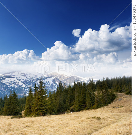 mountain landscape mountain landscape 133479373