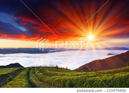 morning in mountains 133479400