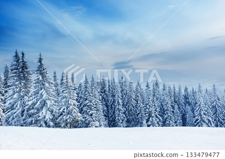 winter landscape winter landscape 133479477