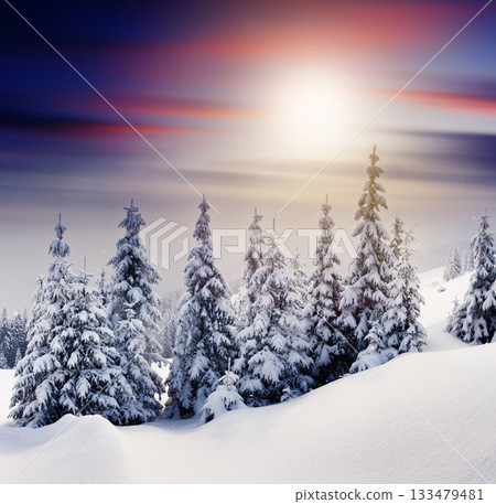 winter landscape winter landscape 133479481