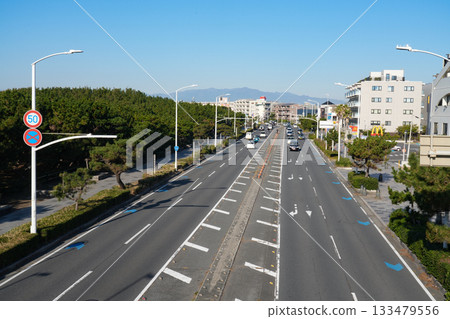 湘南路 湘南路 133479556