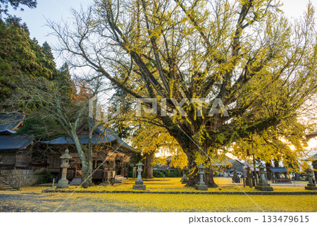 Beautiful autumn scenery in Tottori Prefecture, Japan Beautiful autumn scenery in Tottori Prefecture, Japan 133479615