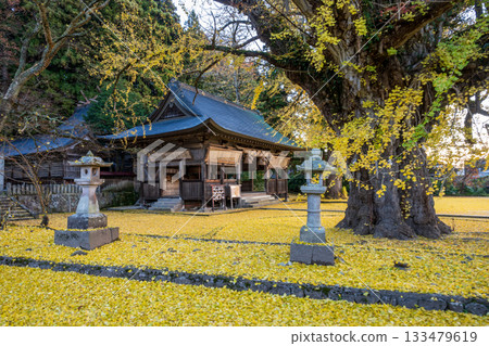日本鳥取縣美麗的秋景 133479619