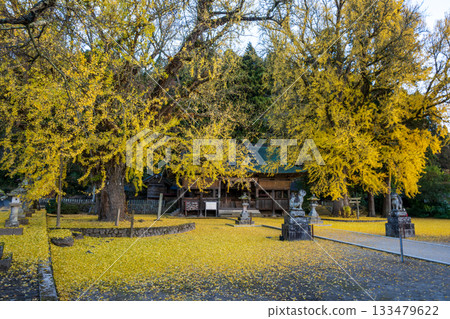 Beautiful autumn scenery in Tottori Prefecture, Japan Beautiful autumn scenery in Tottori Prefecture, Japan 133479622